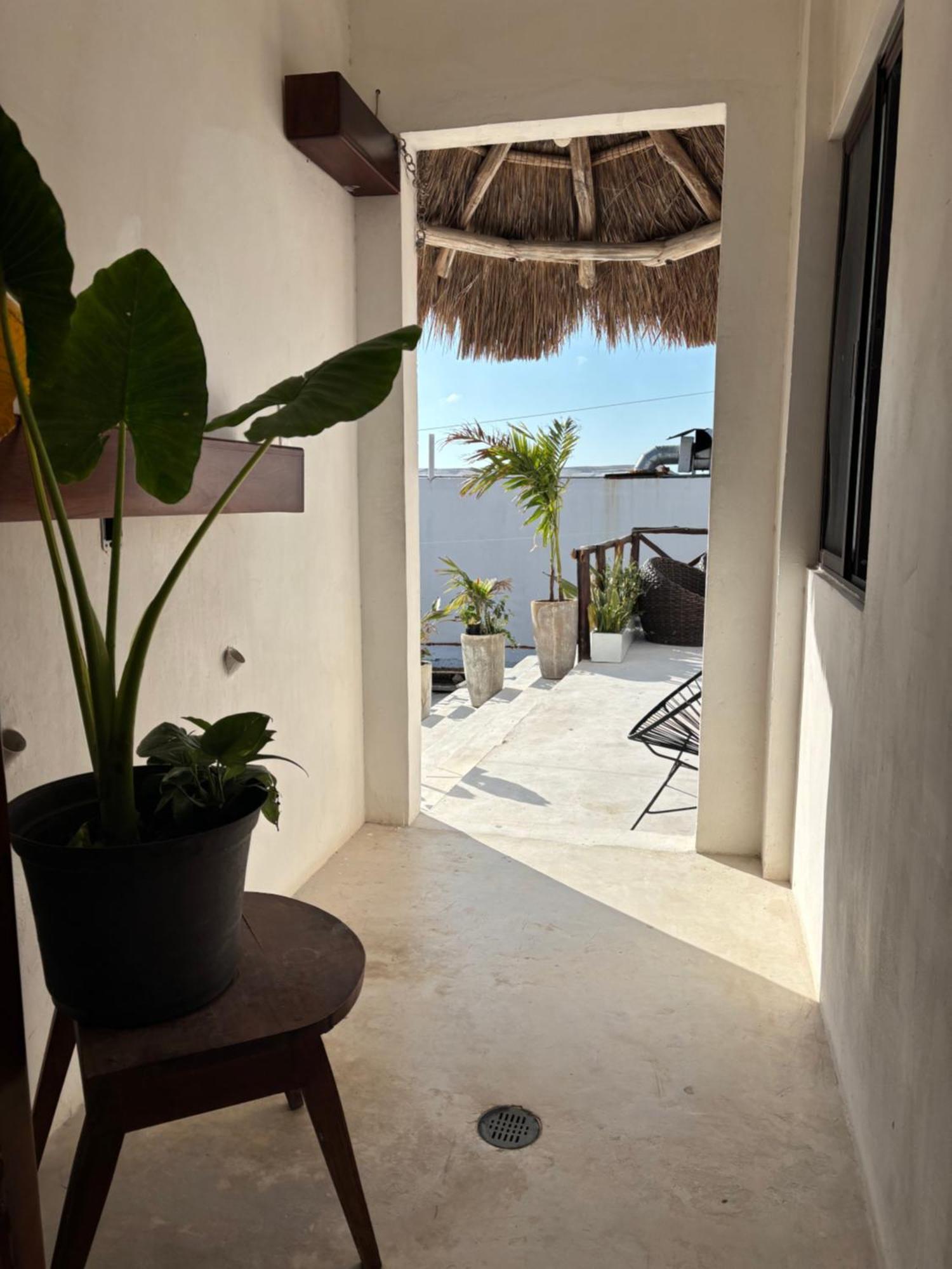 Hotel Mittoz Holbox Eksteriør billede